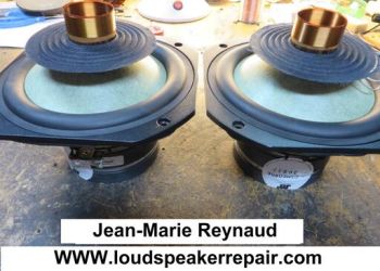 Jean-Marie Reynaud Speaker Repair
