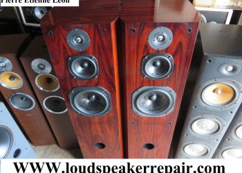 Pierre Etiene Leon Speaker Repair