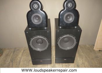 Acarian loudspeaker repair