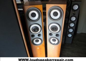 professional Cabasse speaker repairs