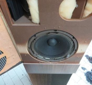 Bose 501 luidspreker reparatie van een beschadigde woofer. Deze vintage Bose speaker wordt professioneel gerestaureerd met aandacht voor de surround, conus en originele geluidsweergave. Specialist in Bose speaker repair en woofer restoration.